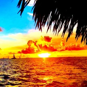 🌺Welcome To My Closet🌺